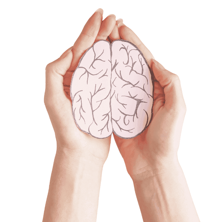 Cognitive Support