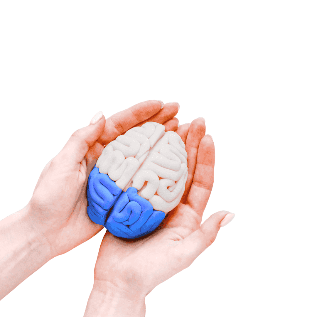 Brain-Based Arousal Support